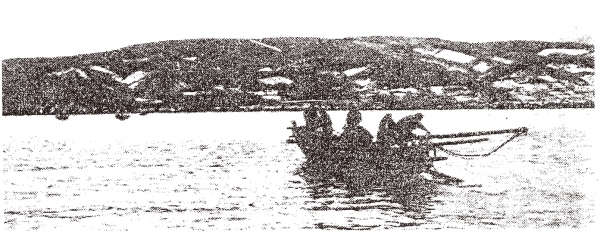 明治30年代 古平沖でのたら漁