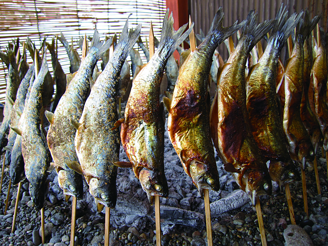 絶滅危惧種に指定されている北海道原産の幻の湖魚チップ（ヒメマス）を道内で唯一養殖しています。
繊細な身に脂がのっているためとても美味しいです。
詳しく下記ホームページで！
